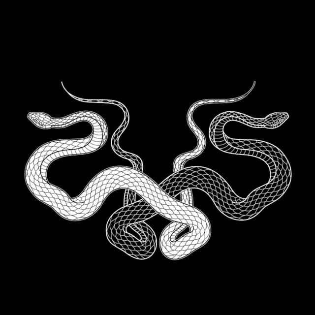 Knosis's artist profile image