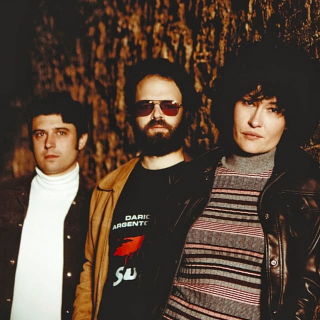 The Limboos artist profile image
