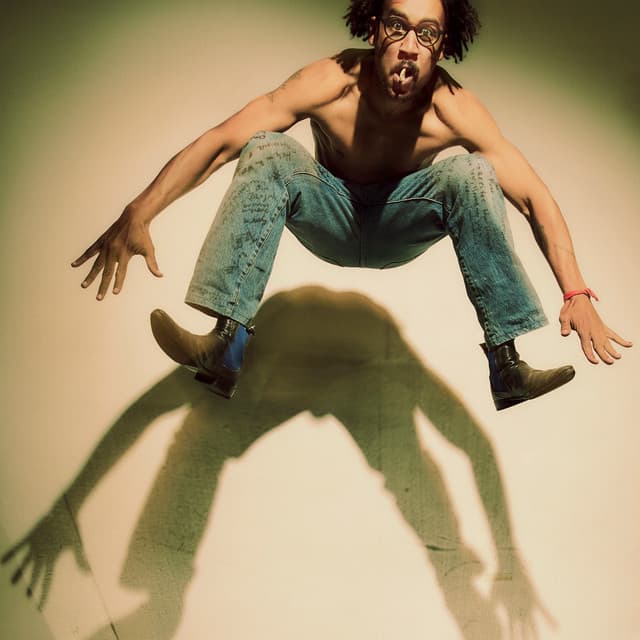 Dino Brandão artist profile image
