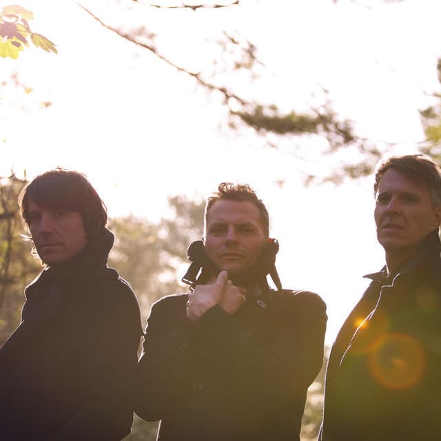 Toploader artist profile image