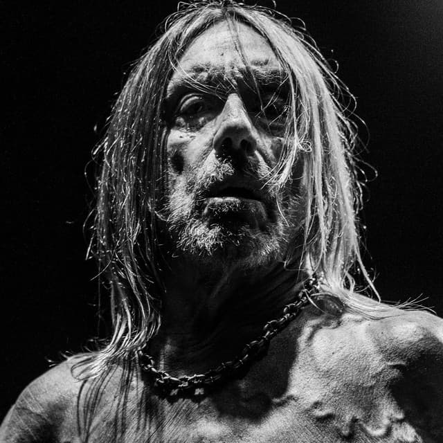 Iggy Pop's artist profile image