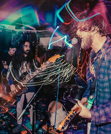 Palamino's artist profile image