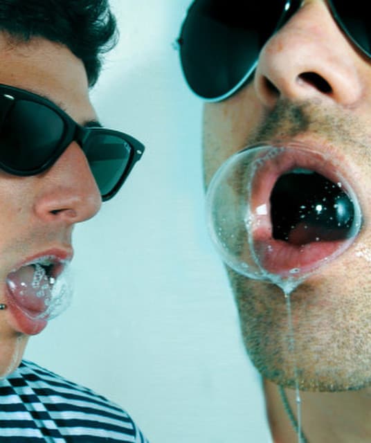 The Limousines artist profile image