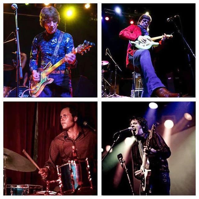 Flamin' Groovies's artist profile image