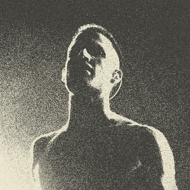 WOS artist profile image