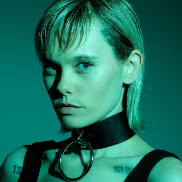Idoru artist profile image