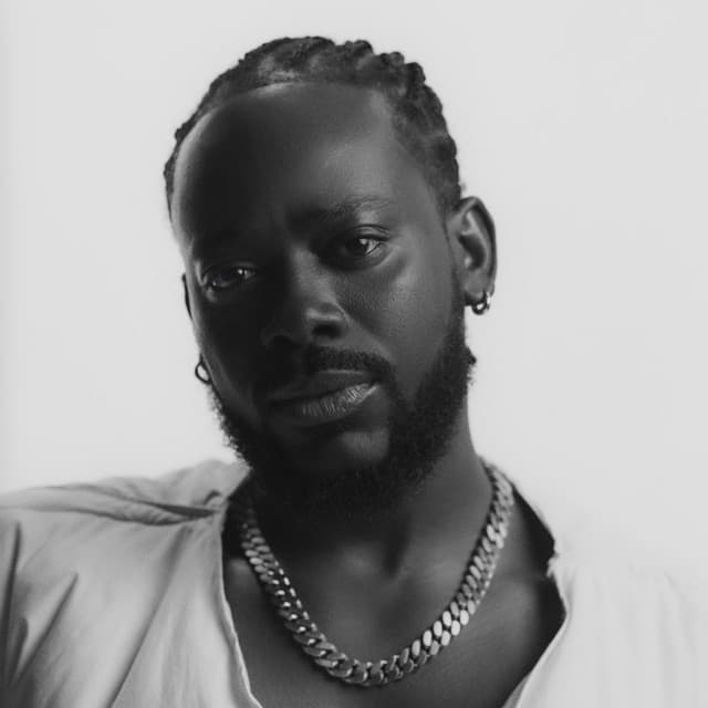 Adekunle Gold artist profile image
