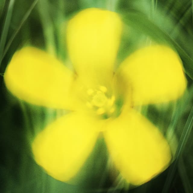 Resavoir artist profile image
