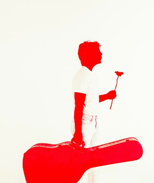 Stop Light Observations's artist profile image