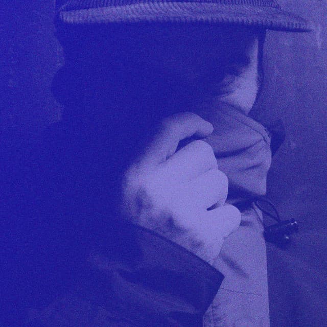 Low End Activist artist profile image