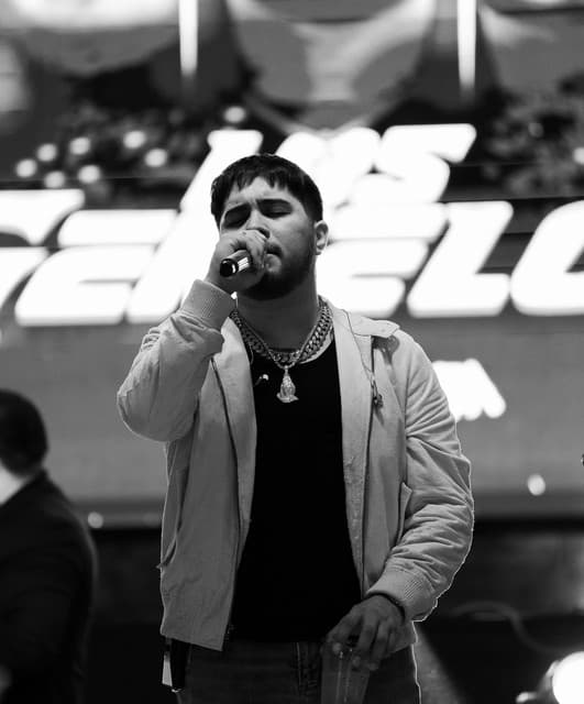 Los Gemelos De Sinaloa artist profile image