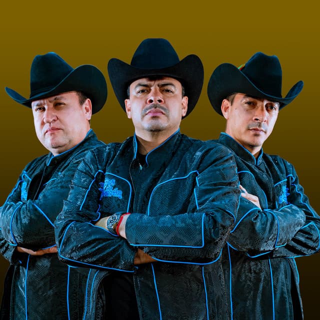 Hijos De Barron's artist profile image