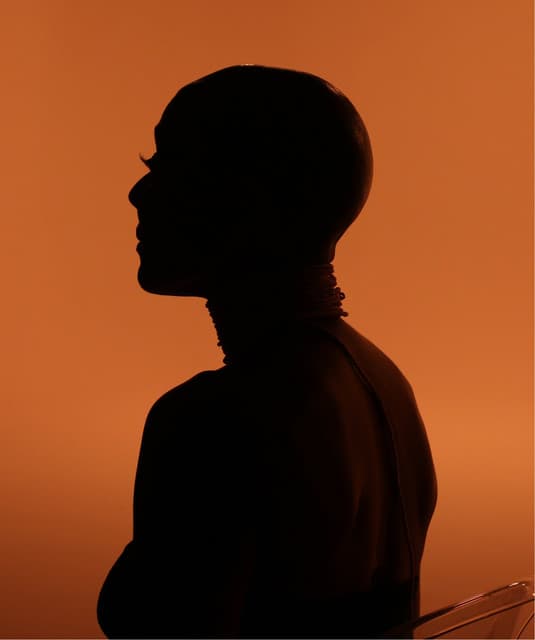 Amii Stewart artist profile image