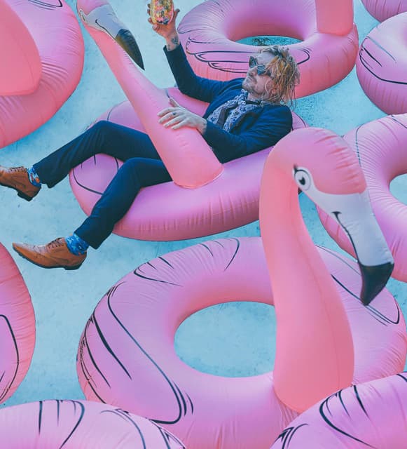 The Griswolds artist profile image