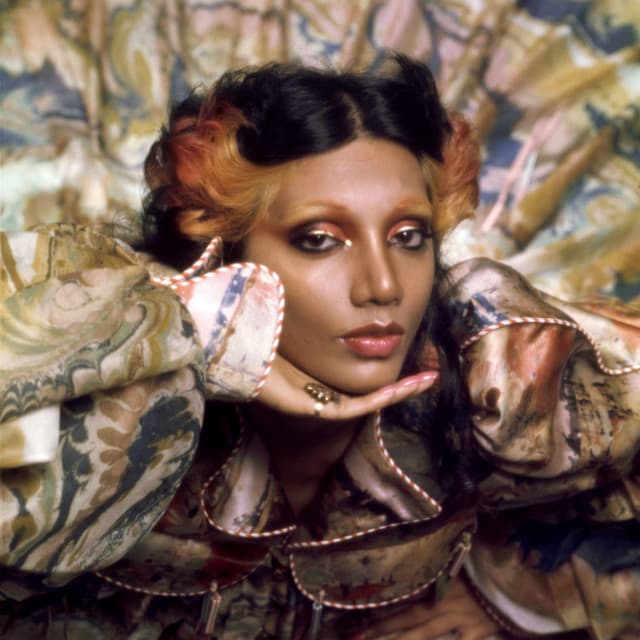 Asha Puthli artist profile