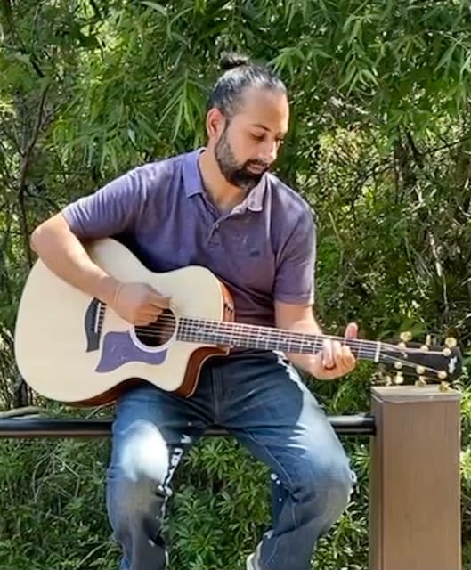Raman Sachdev artist profile image