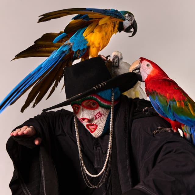 Aiwaska artist profile image