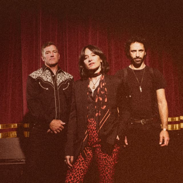 Howling Bells artist profile image