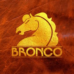 Bronco's artist profile image