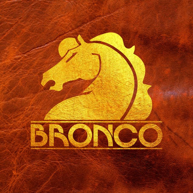Bronco artist profile image