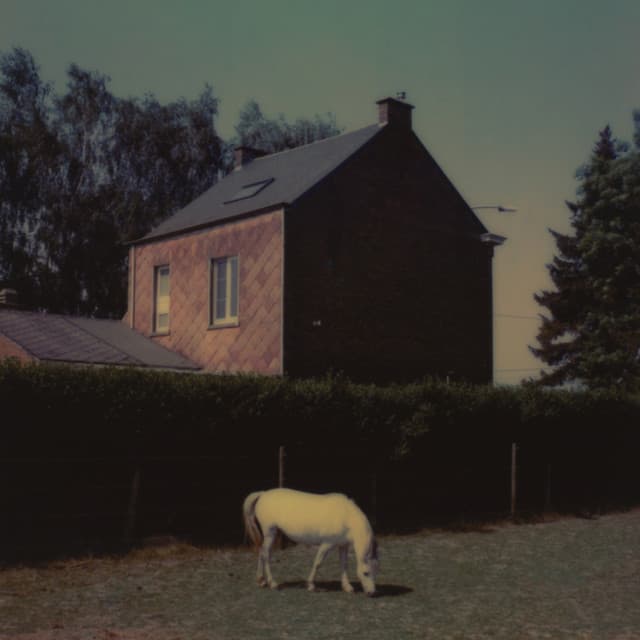 Hannah Miette artist profile image