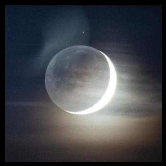 XXCHICØ artist profile image