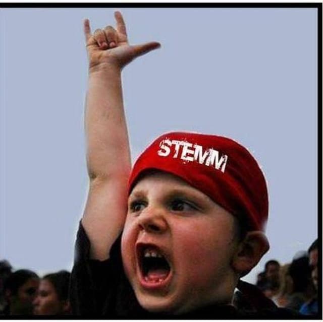 Stemm artist profile image