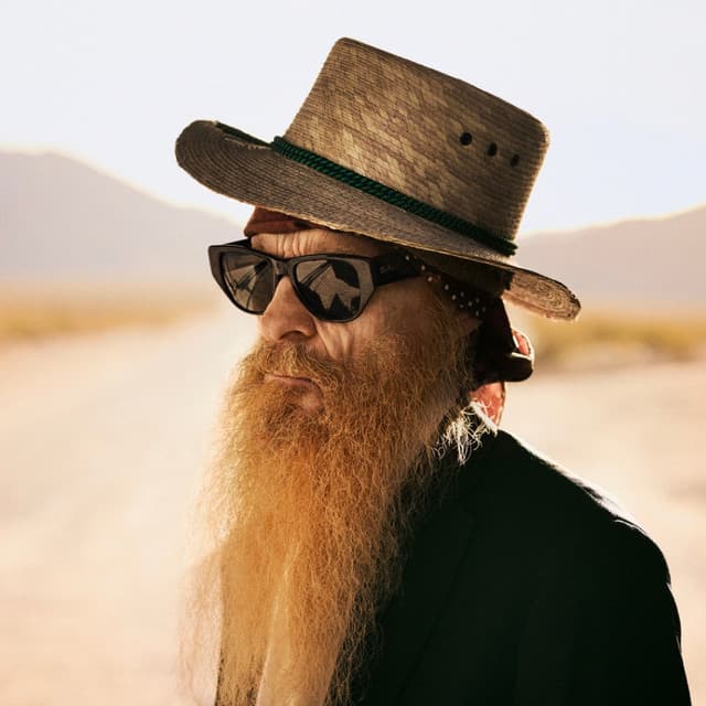 Billy F Gibbons profile