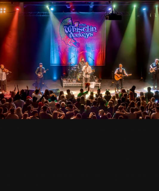 The Whistlin' Donkeys artist profile image