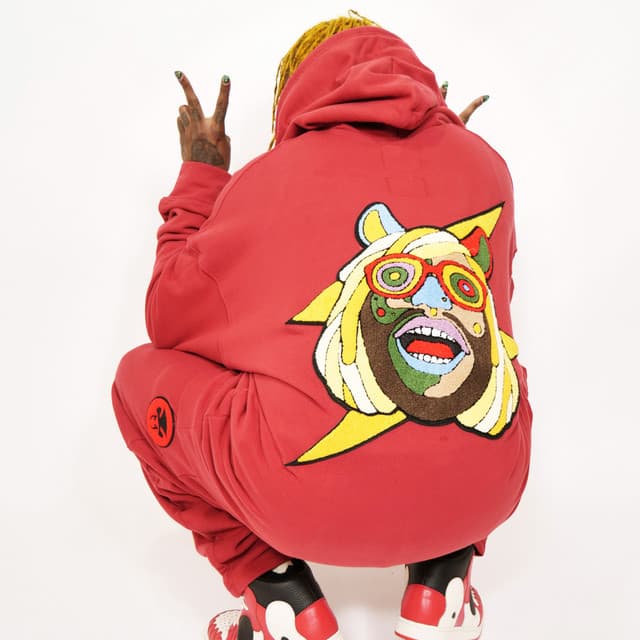 Thundercat's artist profile image