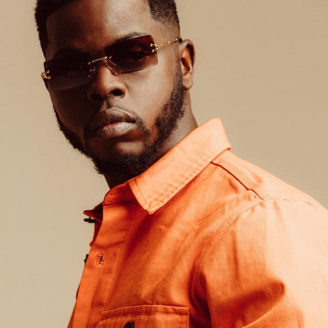 Driks artist profile image