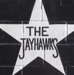 The Jayhawks's artist profile image