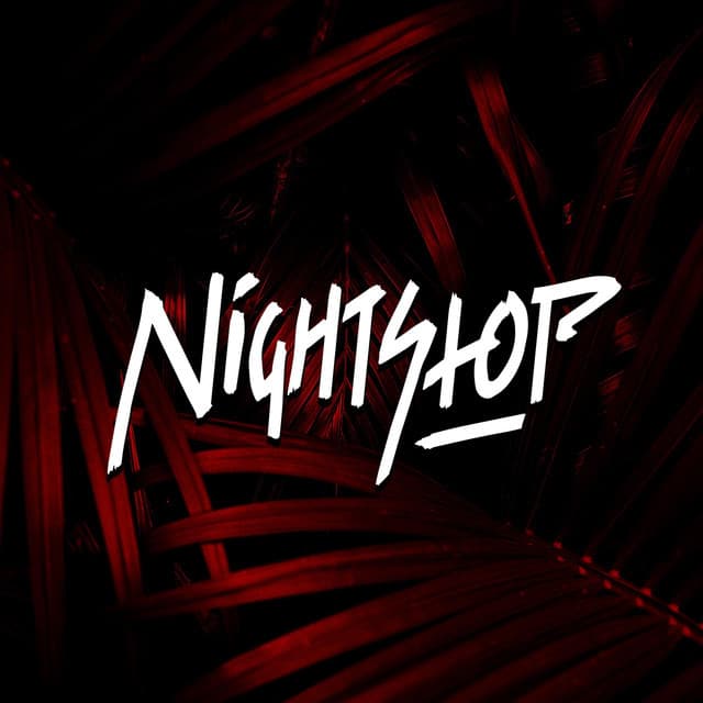 Nightstop artist profile image