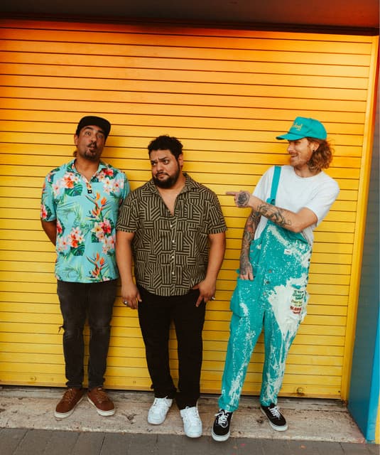 The Irie's artist profile image