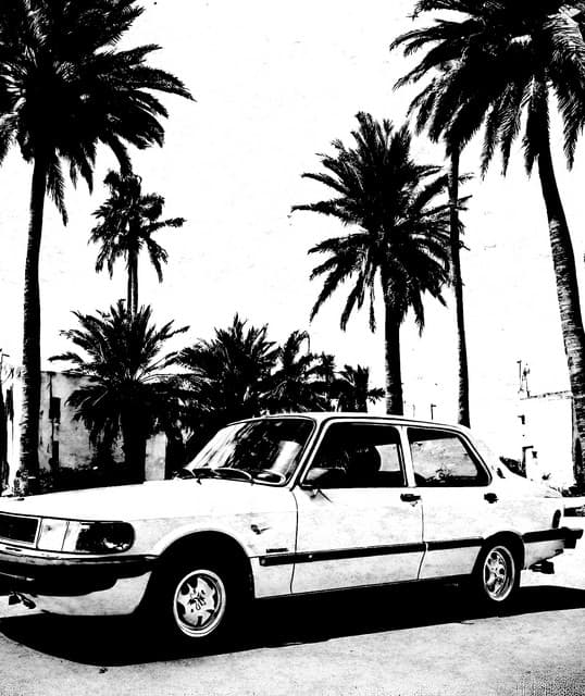 Young Saab artist profile image