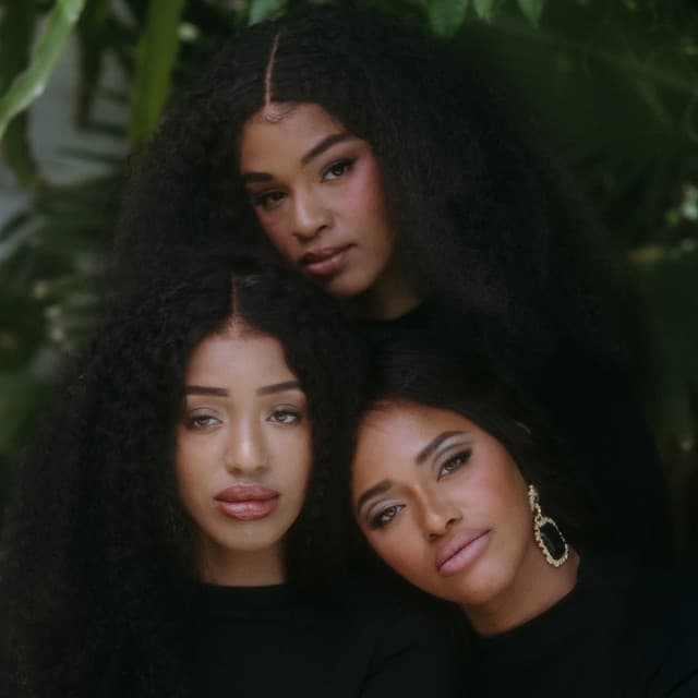 The Womack Sisters's artist profile image