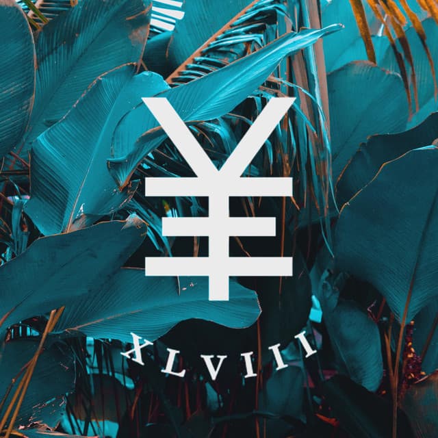 Y.V.E. 48 artist profile image
