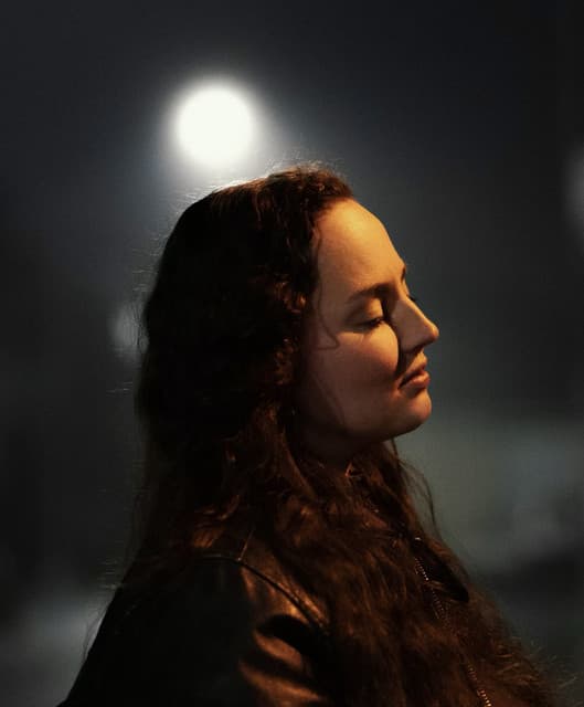 Diana DeMuth's artist profile image