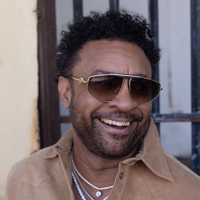 Shaggy artist profile