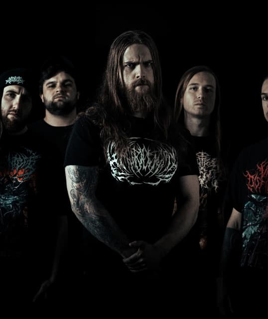 Organectomy's artist profile image