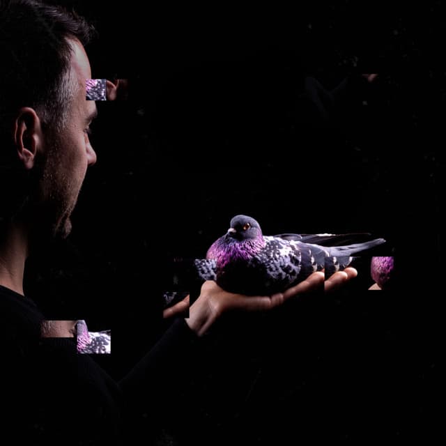 Stimming artist profile image