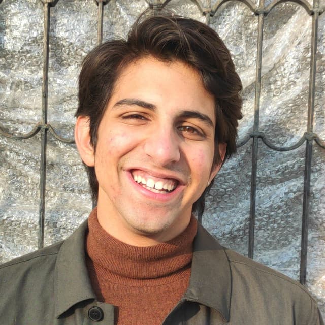 Narayan Sethi artist profile image
