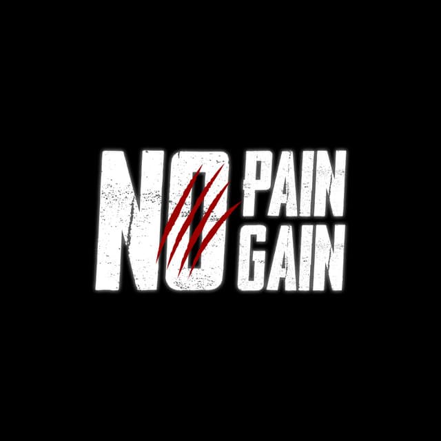 NO PAIN NO GAIN artist profile image