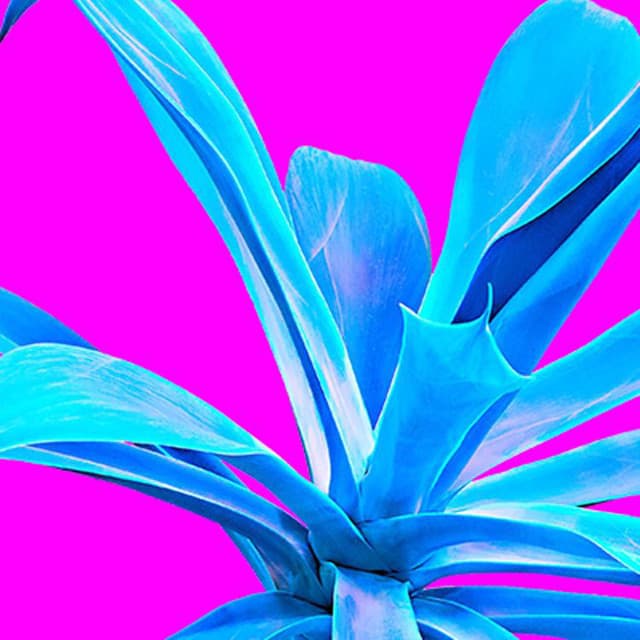 Kap Slap's artist profile image