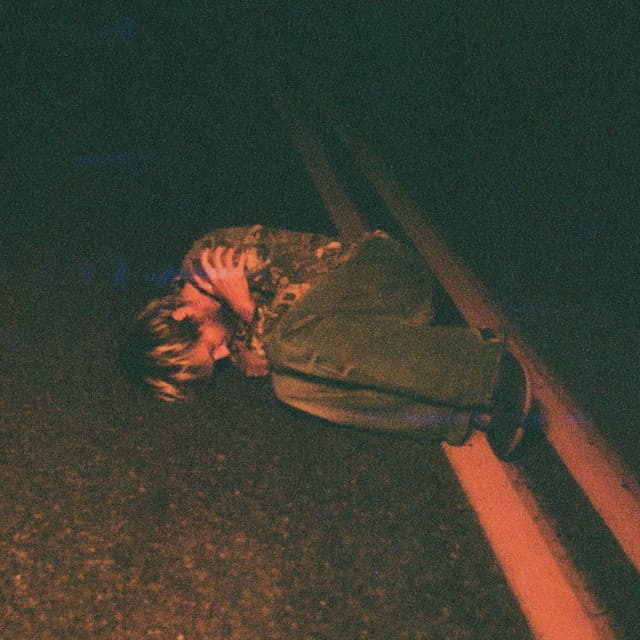 pluko artist profile image