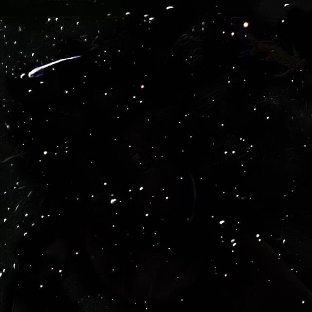Noname's artist profile image