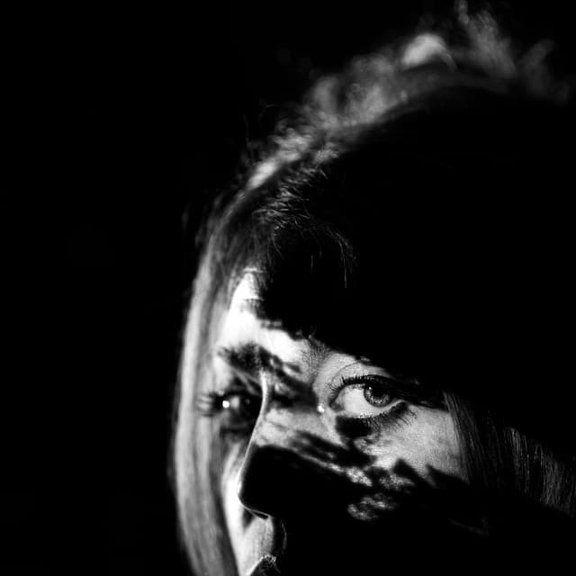 VEIL artist profile image