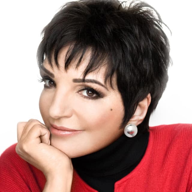 Liza Minnelli artist profile image