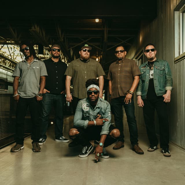 Arise Roots artist profile
