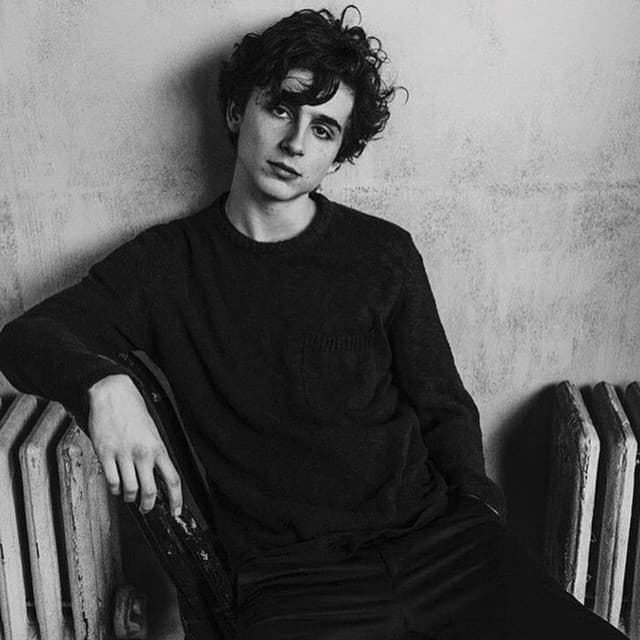 Timothée Chalamet artist profile image